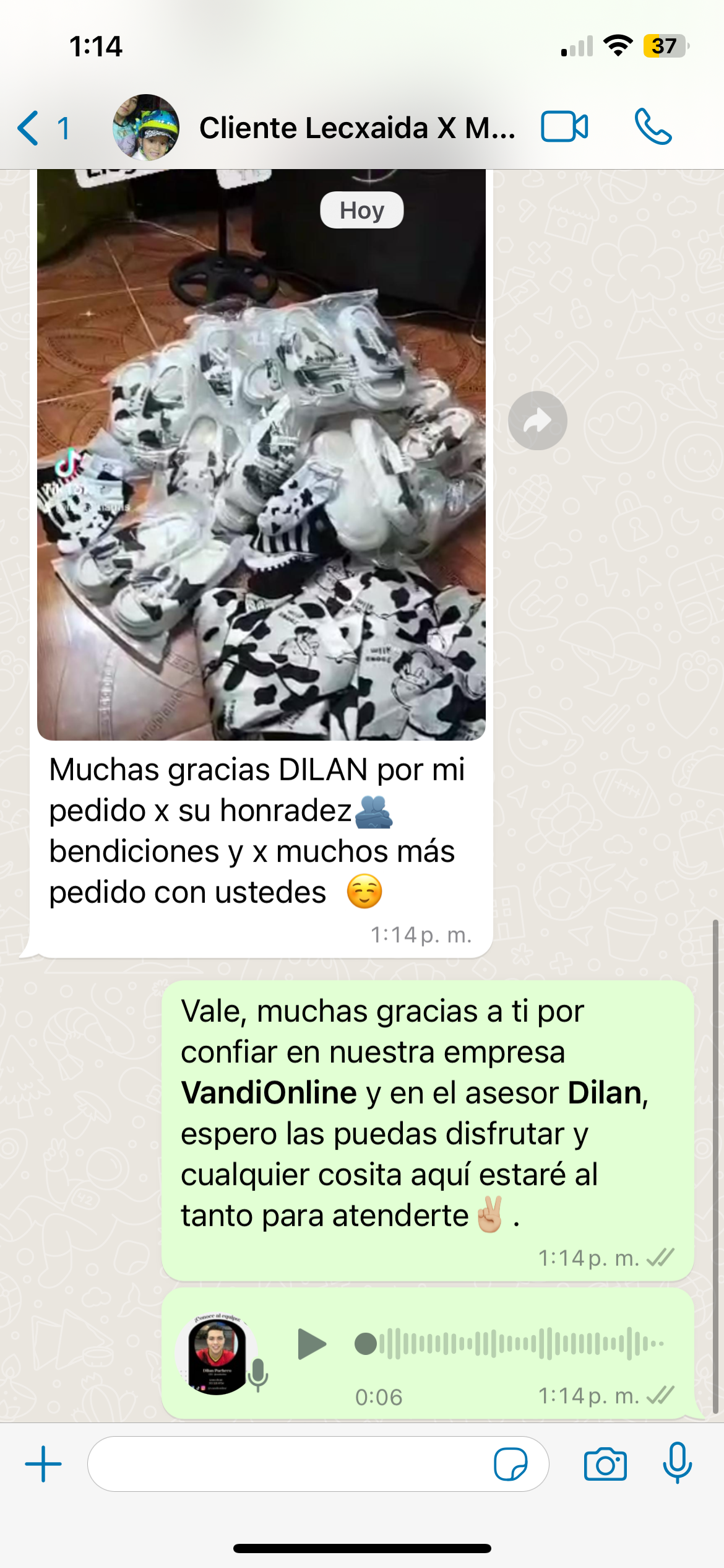 Pantuflas Animadas Antideslizantes Envío GRATIS - LLEVA 2 X EL PRECIO DE 1 🚚