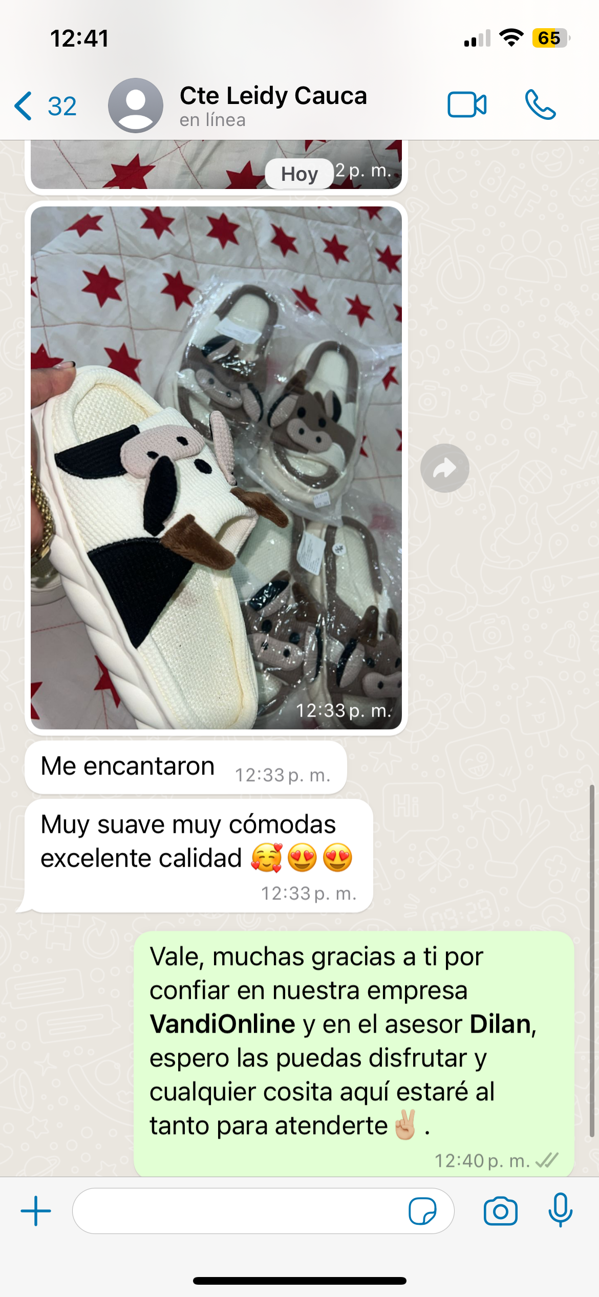 Pantuflas Animadas Antideslizantes Envío GRATIS - LLEVA 2 X EL PRECIO DE 1 🚚