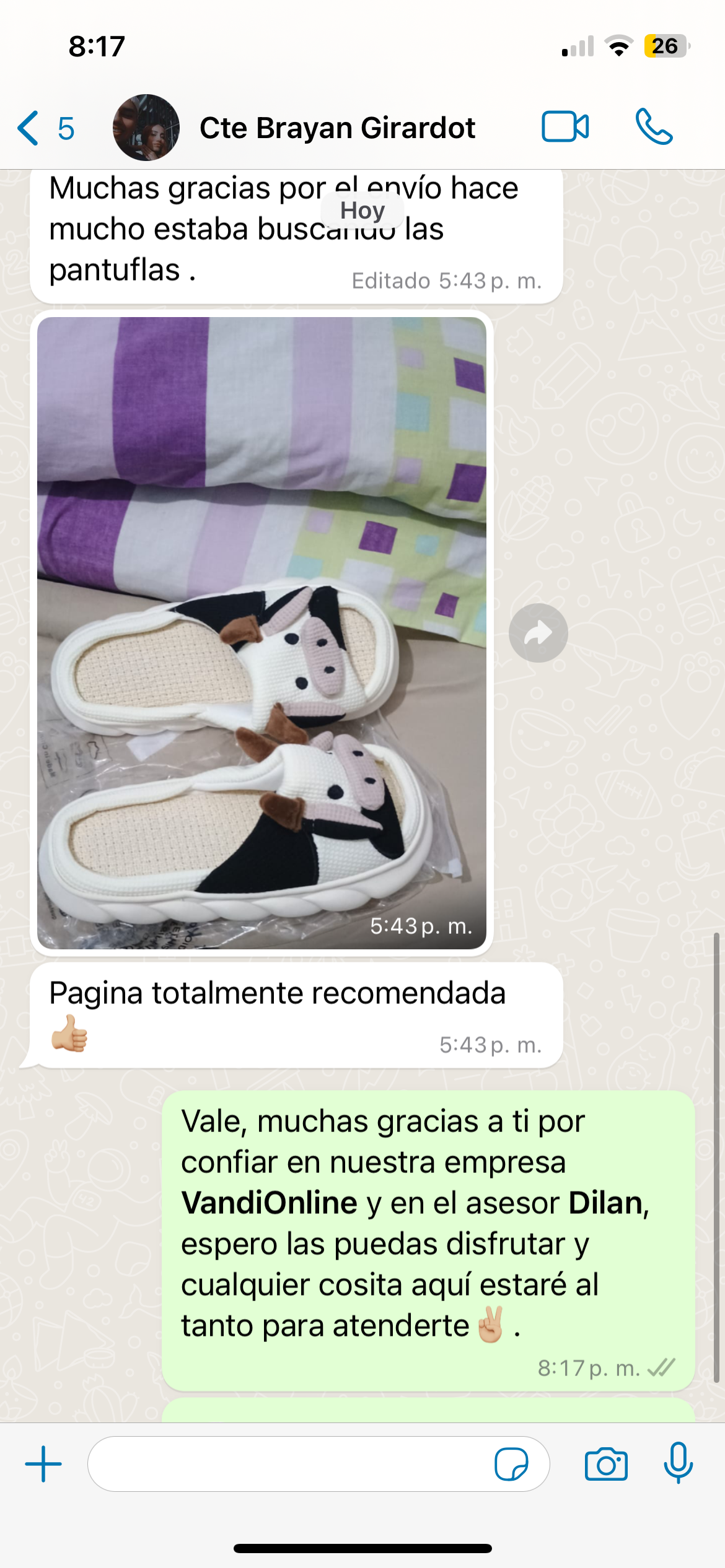 Pantuflas Animadas Antideslizantes Envío GRATIS - LLEVA 2 X EL PRECIO DE 1 🚚