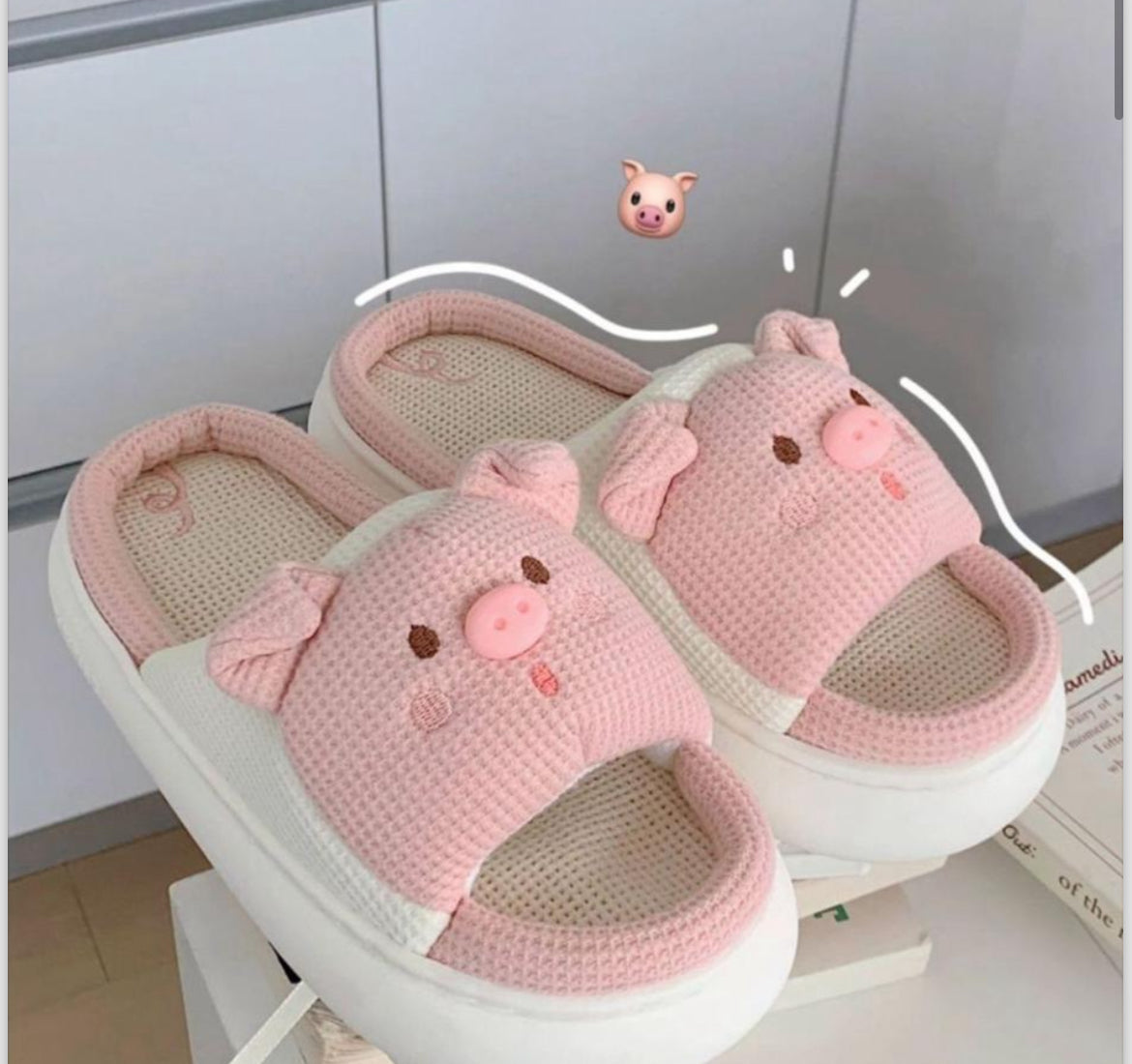 Pantuflas Animadas Antideslizantes Envío GRATIS - LLEVA 2 X EL PRECIO DE 1 🚚